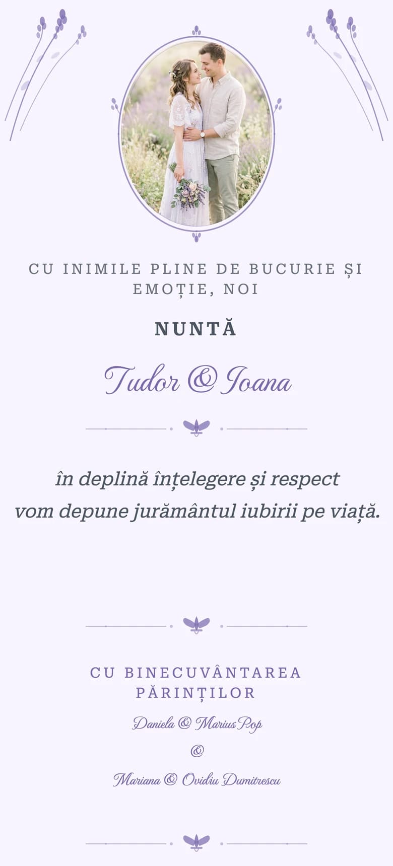 Provencal Lavender template preview